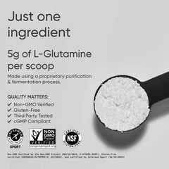 L-Glutamine